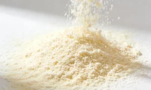 Nonfat-dry-milk-for-food-manufacturing